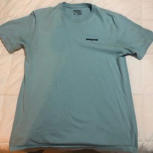 PATAGONIA tee